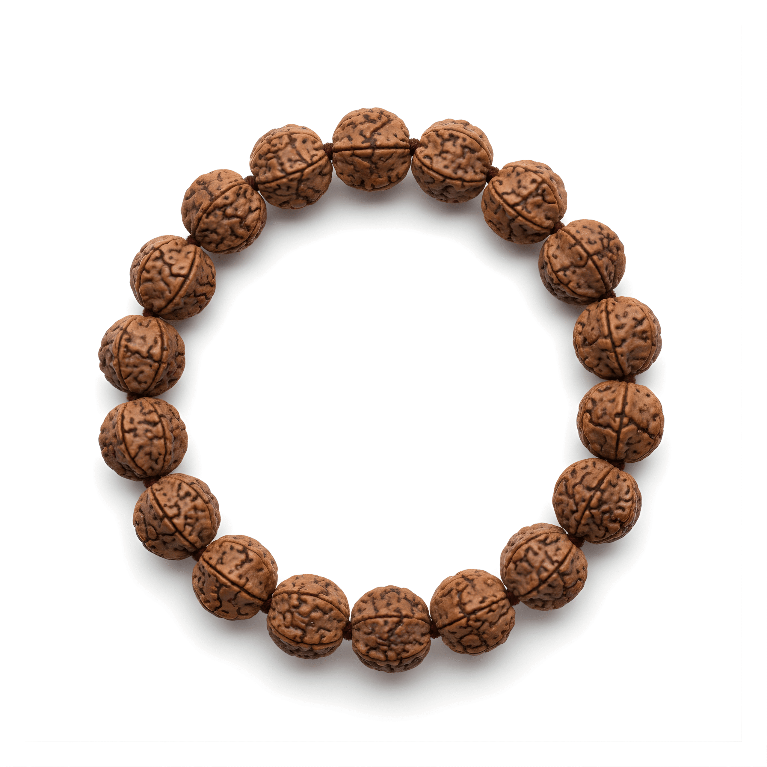 Natural 5 Mukhi Rudraksha Bracelet